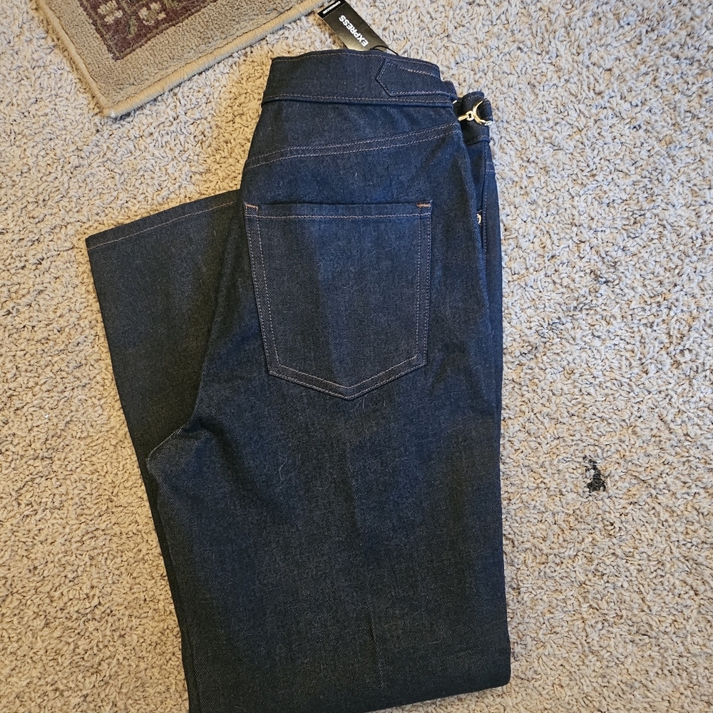 Express Blue Skinny Jeans with Seam Detailing